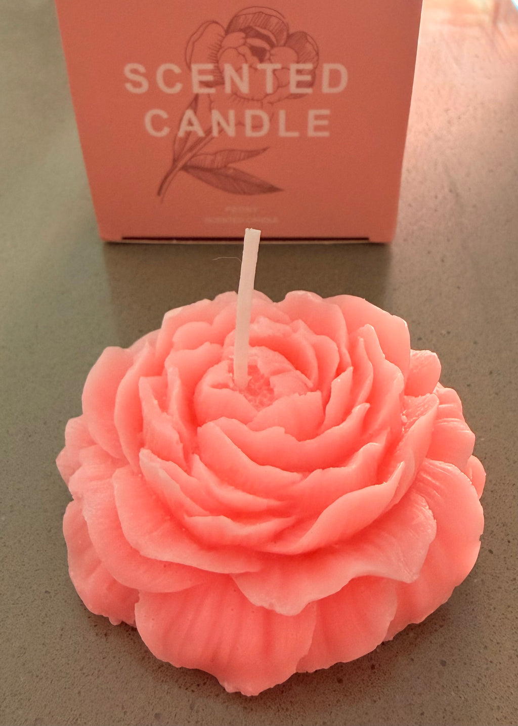 Comfort Box